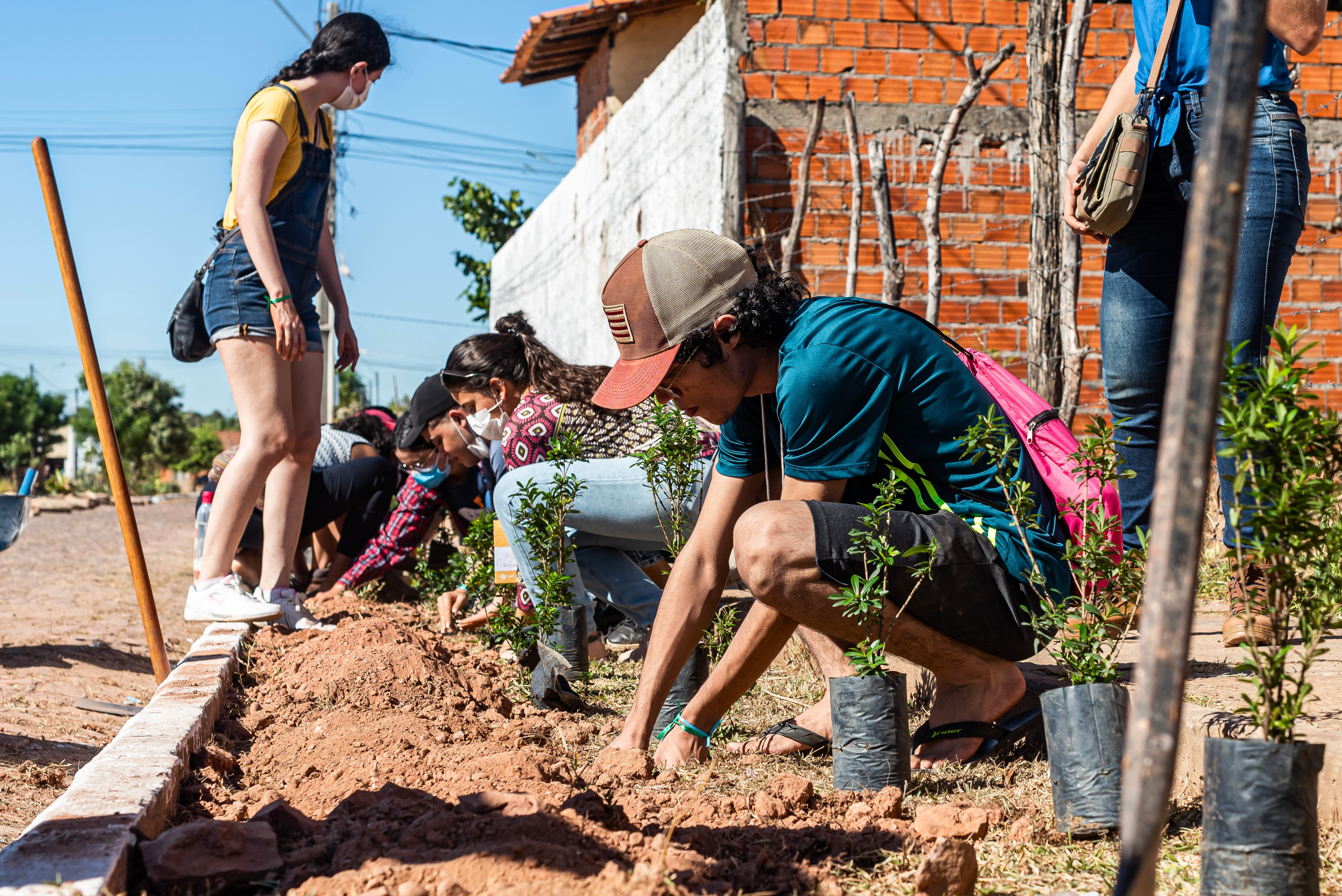 Plantio de mudas — Créditos: WRI Brasil
